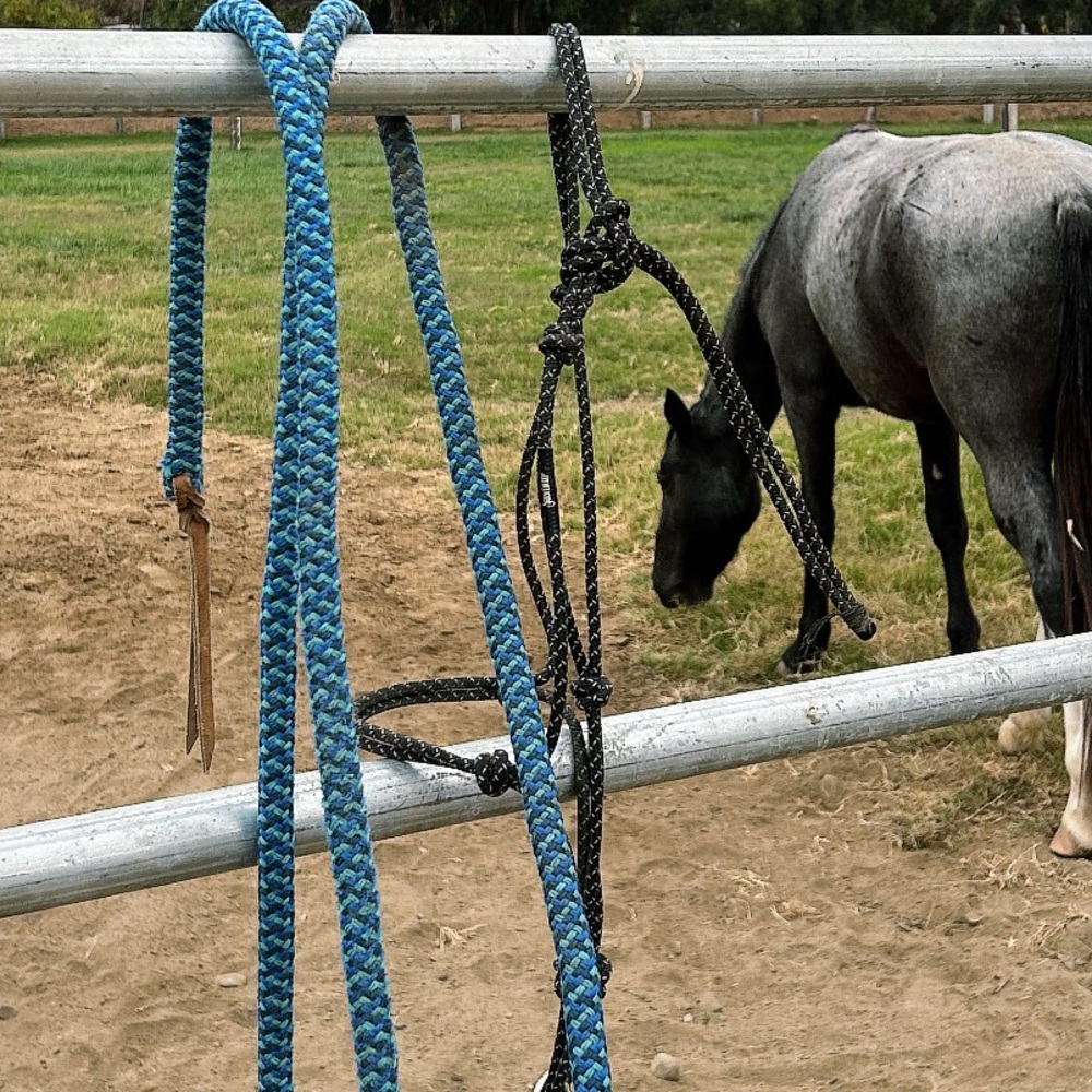 Rope Halter and Lead